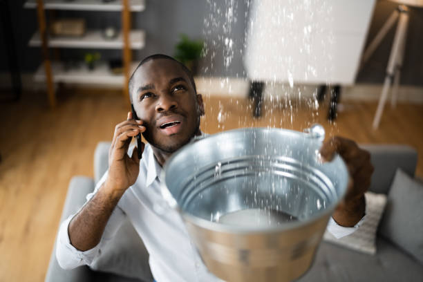 Best Flood damage cleanup  in Winnebago, IL