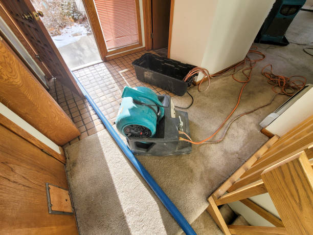 Best Emergency water damage restoration  in Winnebago, IL