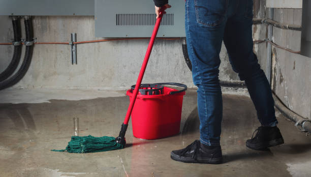 Best Emergency water damage restoration  in Winnebago, IL