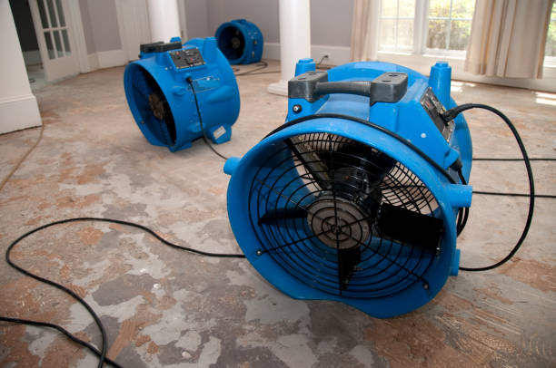 Best Water damage restoration company  in Winnebago, IL
