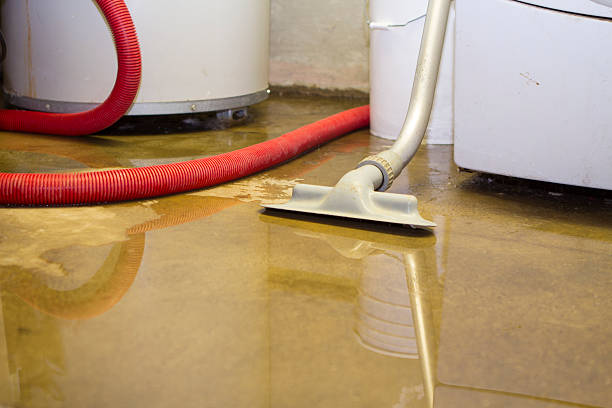 Best Flood damage cleanup  in Winnebago, IL