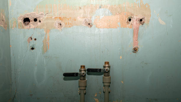 Best Emergency water damage restoration  in Winnebago, IL