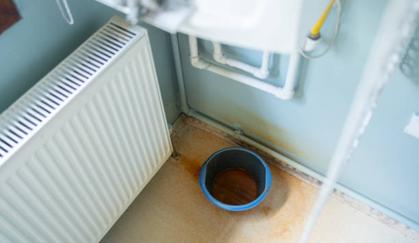 Best 24/7 water damage repair  in Winnebago, IL