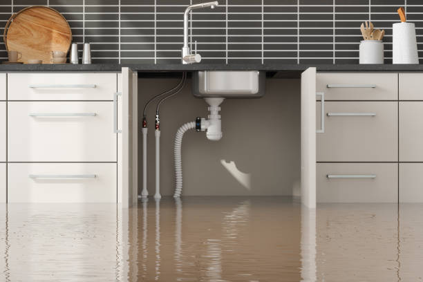 Best Fire Damage Restoration  in Winnebago, IL