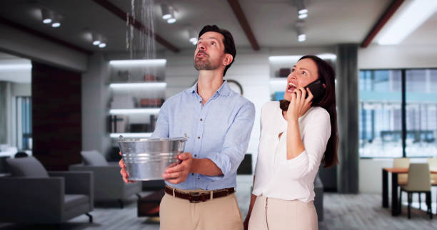Best Basement water damage restoration  in Winnebago, IL